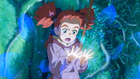 Mary and the Witch's Flower