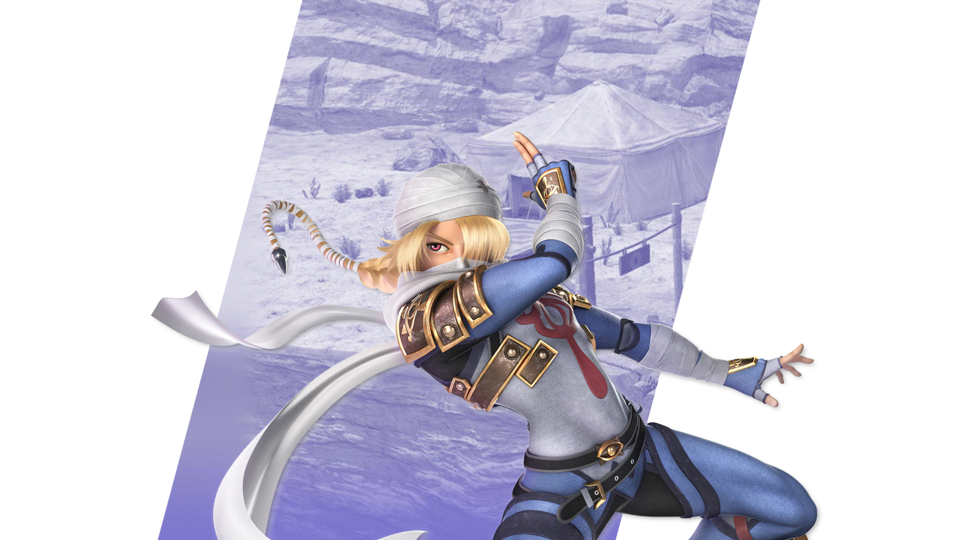Super Smash Bros Ultimate Link Wallpapers - Cat with Monocle