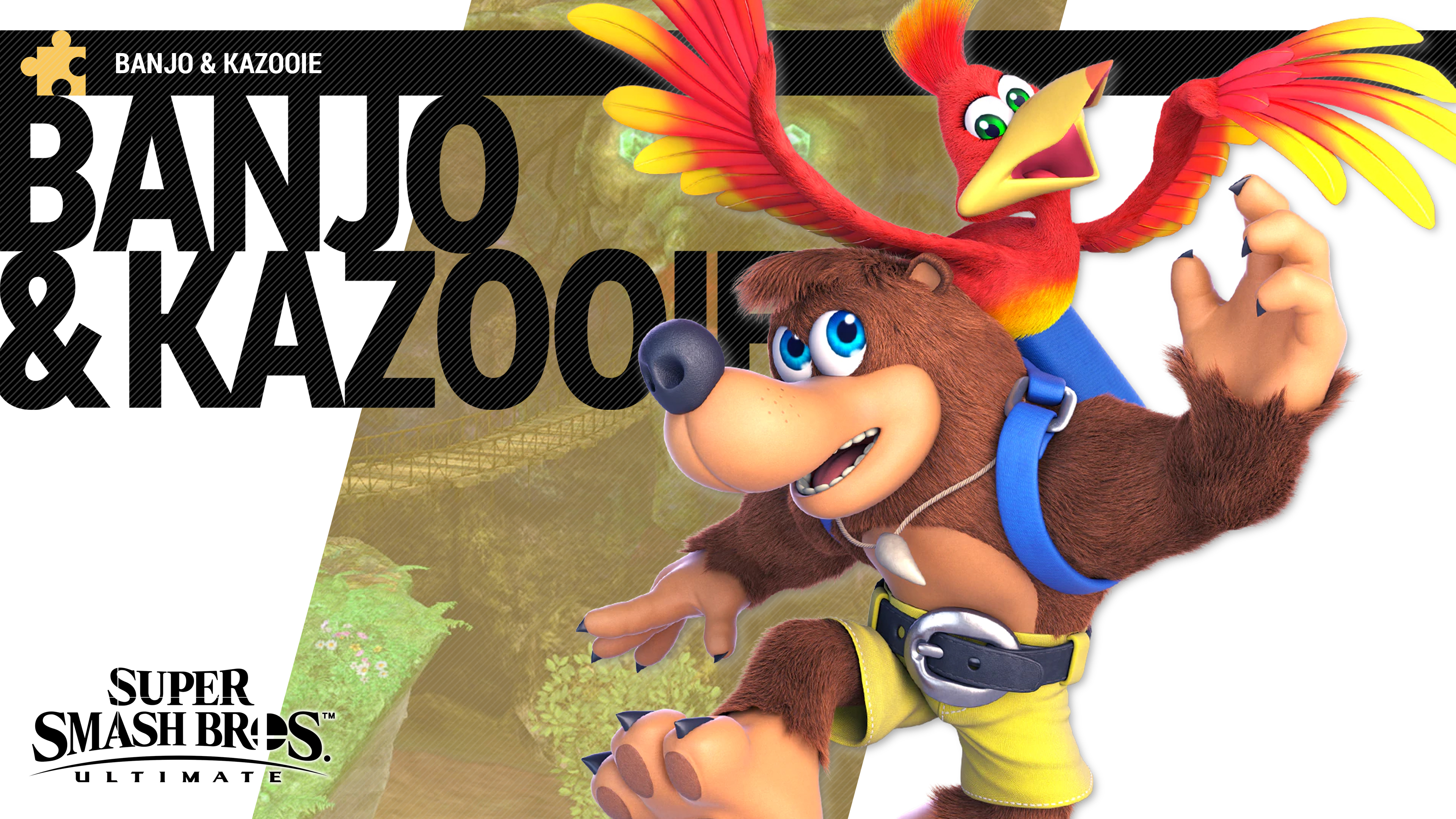 Banjo kazooie max health