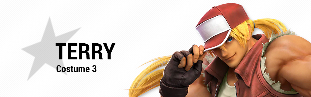 Super Smash Bros Ultimate Wallpapers Terry Costume 3