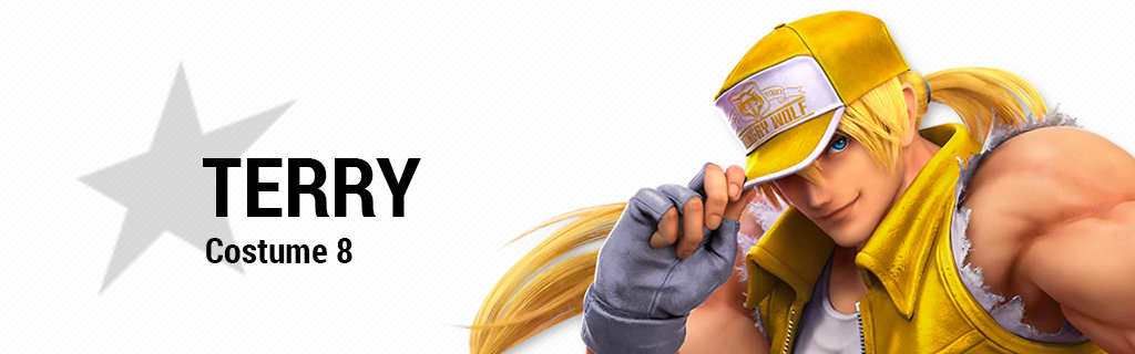 Super Smash Bros Ultimate Wallpapers Terry Costume 8