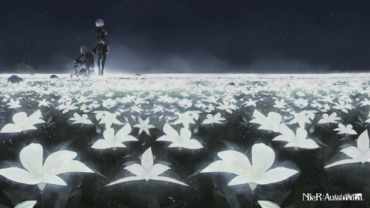 nierautomatasymphonyconcert023840x2160 Cat with Monocle