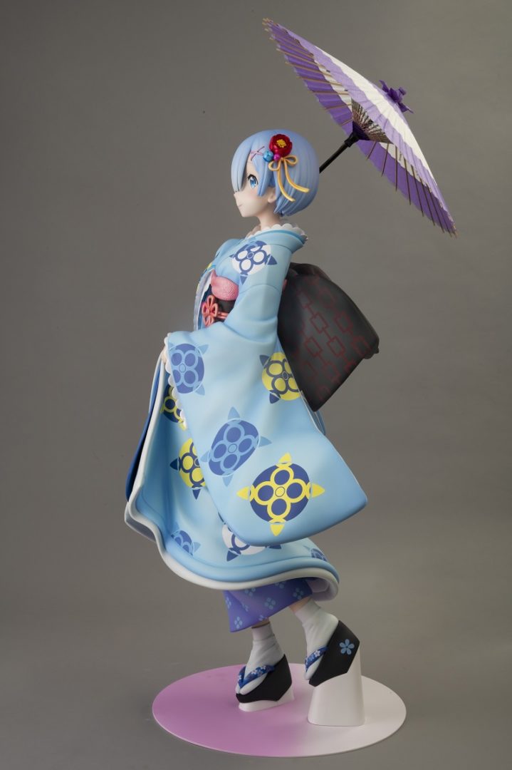 rem cat figure