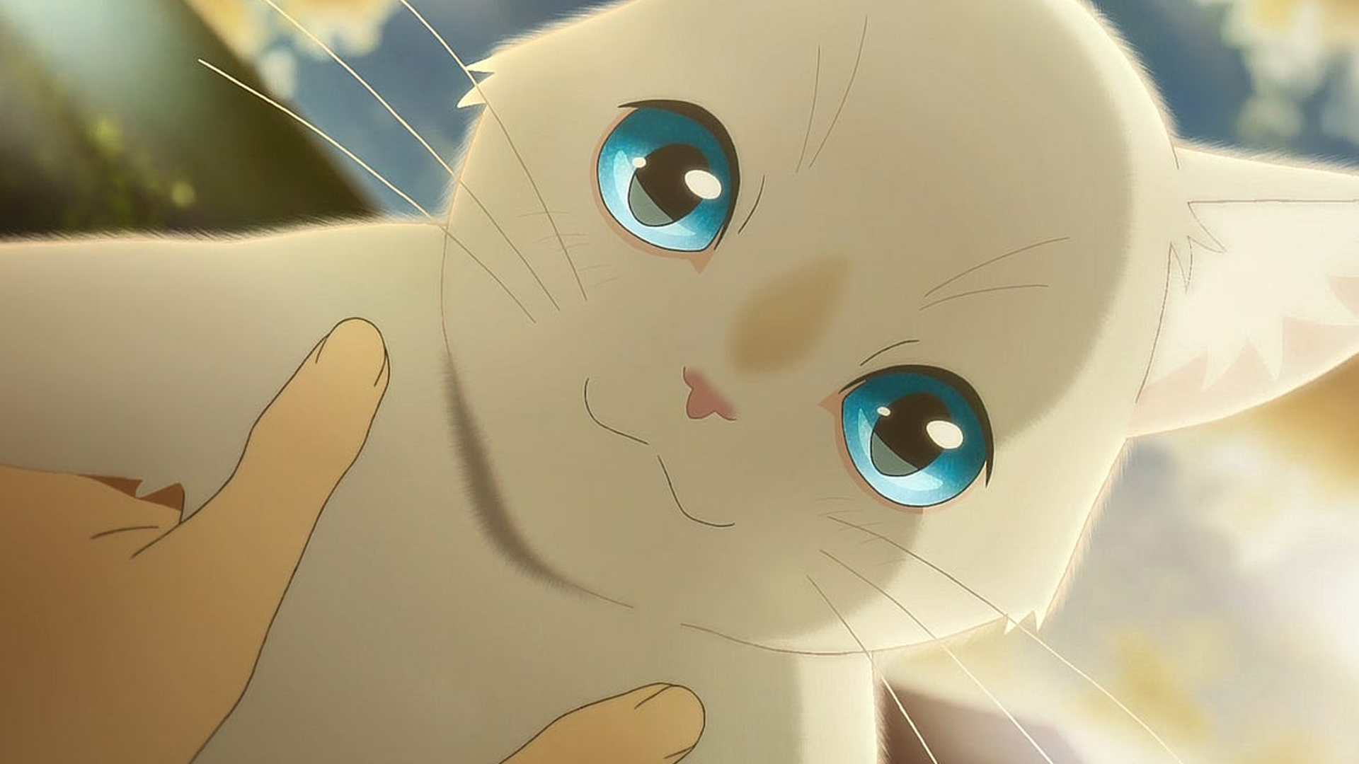 A Whisker Away