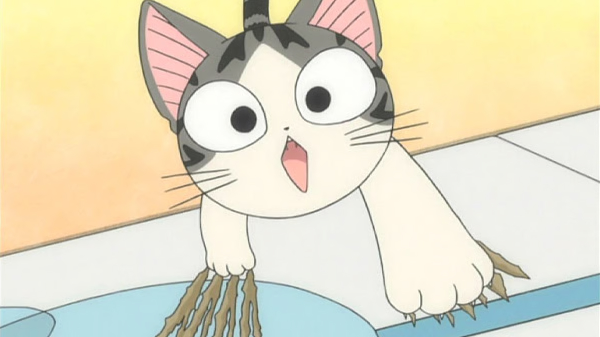 Chi's Sweet Home