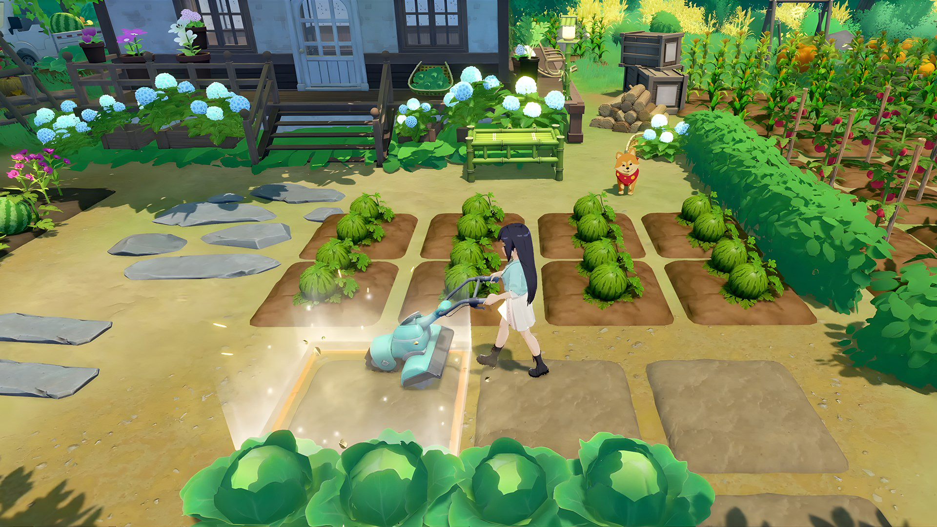 Starsand Island - Screenshot